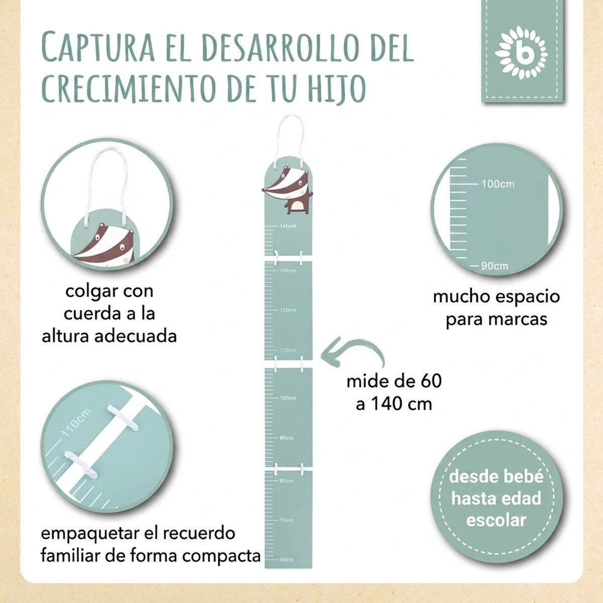 Messlatte Dachs - ES Infographic