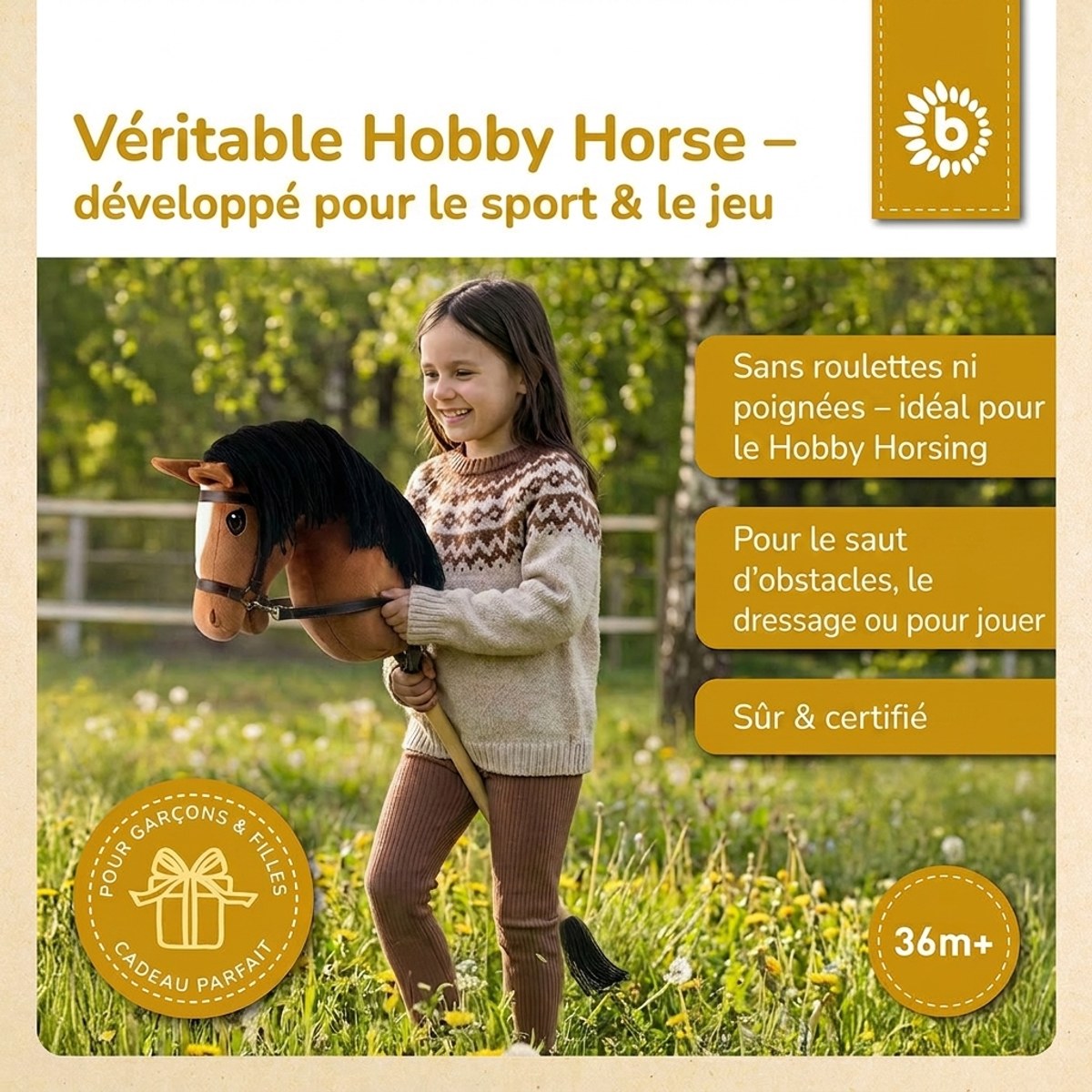 HOBBY HORSE FUCHS - GRÖSSE S - FR Infographic
