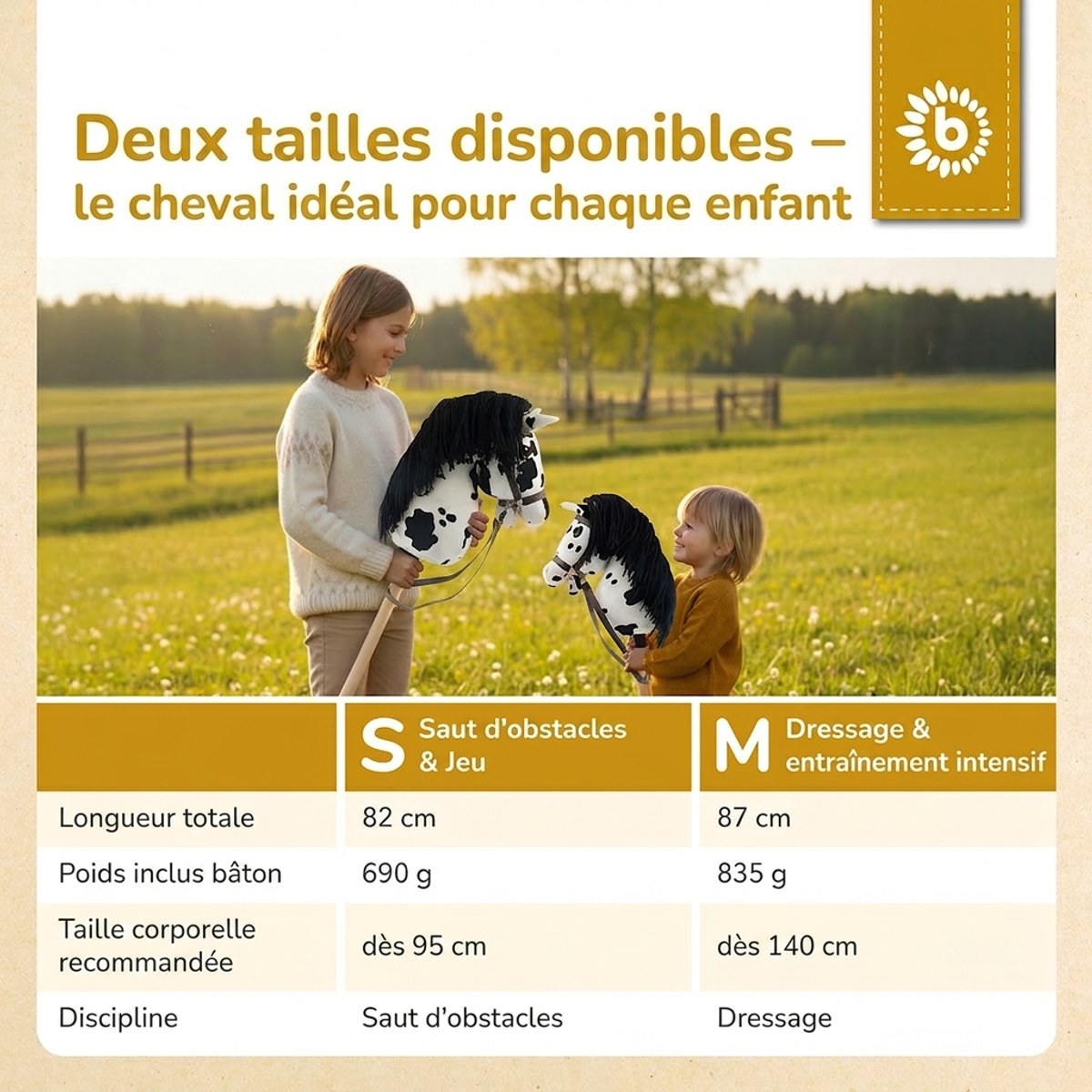 HOBBY HORSE SCHECKE - GRÖSSE M - FR Infographic