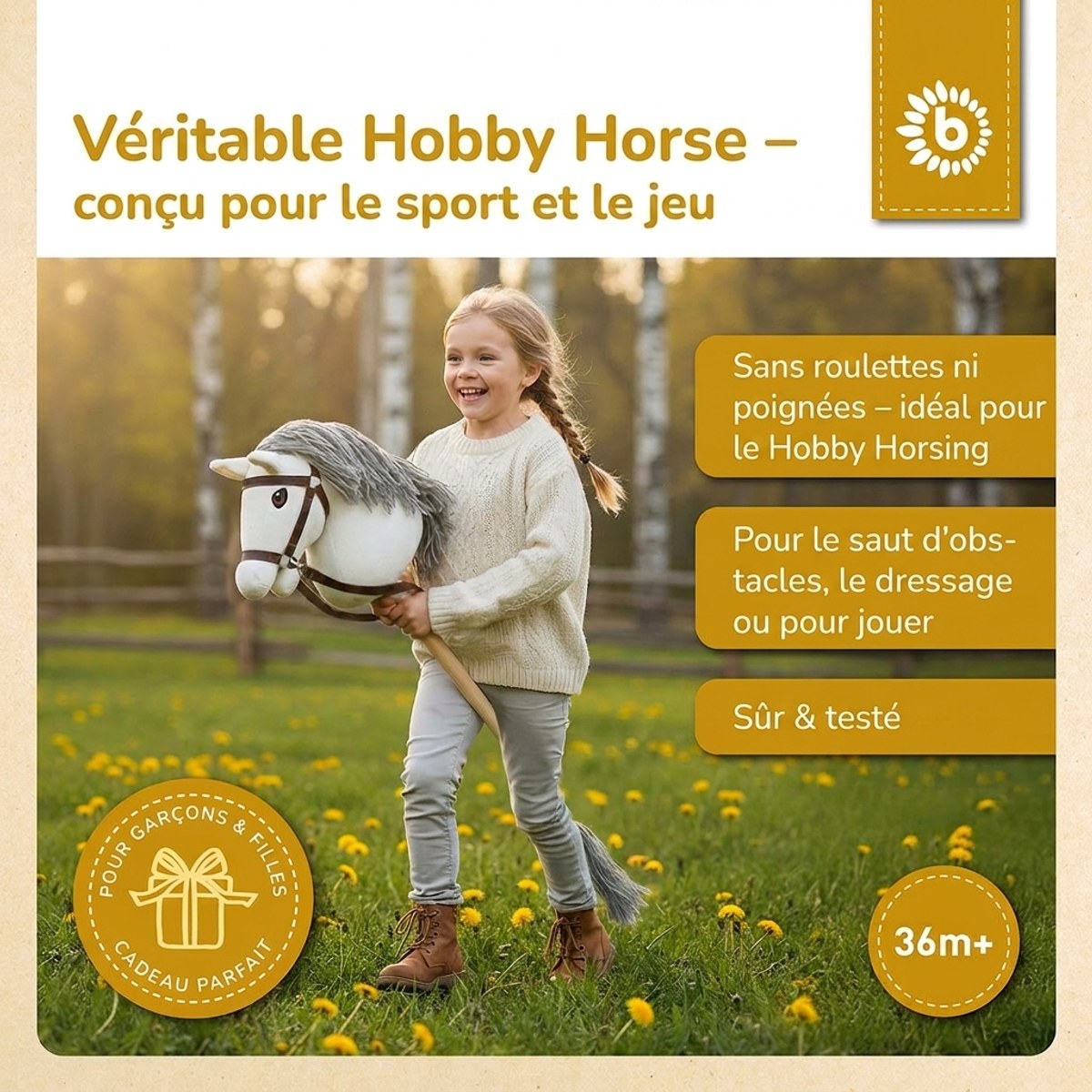 HOBBY HORSE SCHIMMEL - GRÖSSE S - FR Infographic