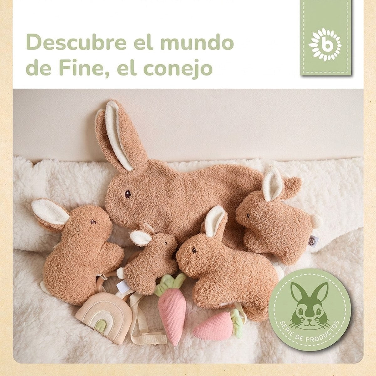 KUSCHELHASE FINE - ES Infographic