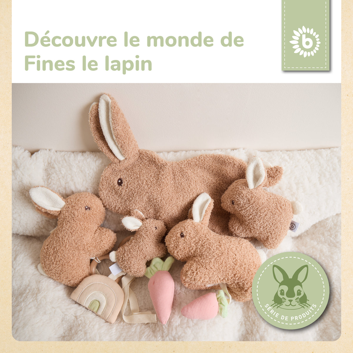 KUSCHELHASE FINE - FR Infographic
