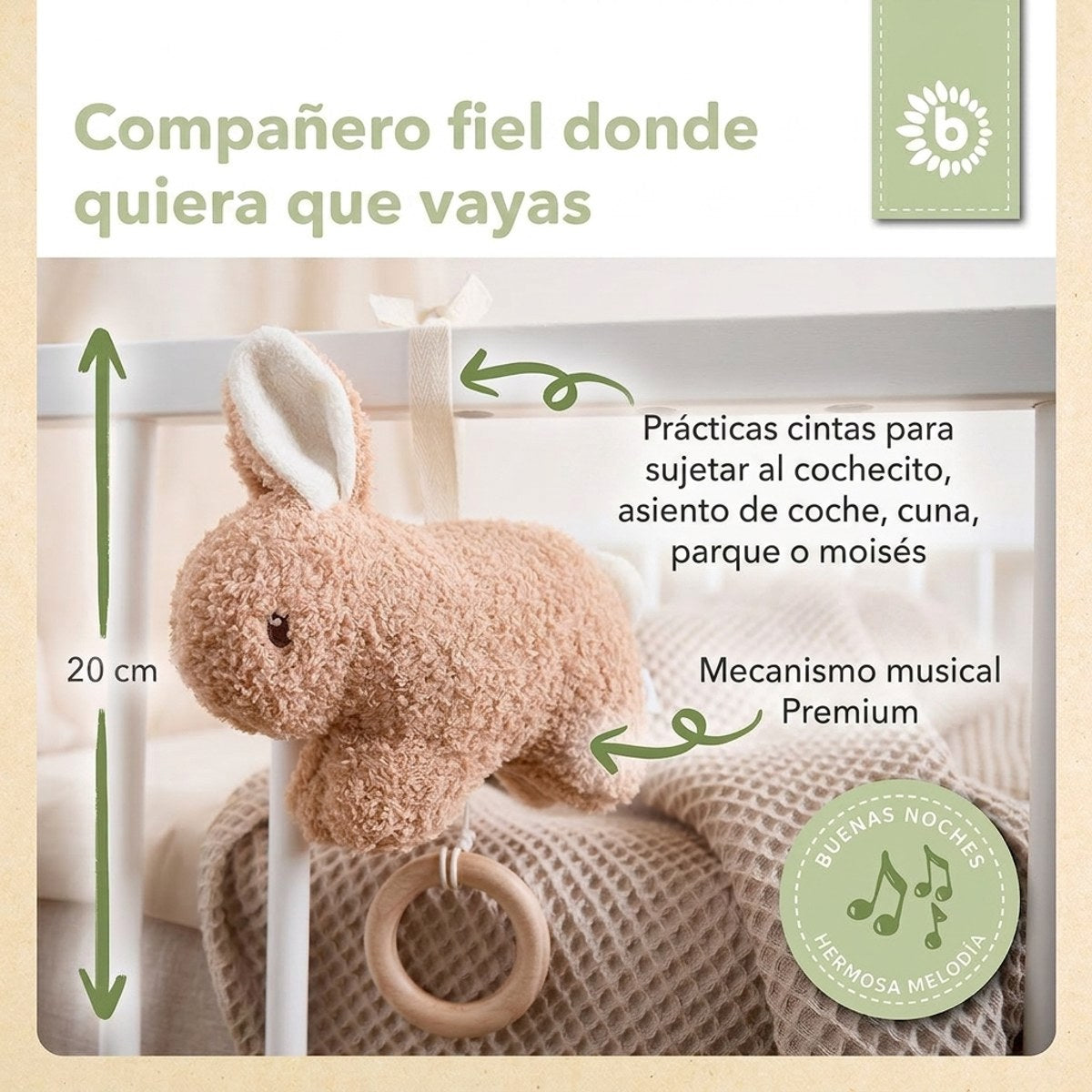 MUSIKSPIELUHR HASE FINE - ES Infographic
