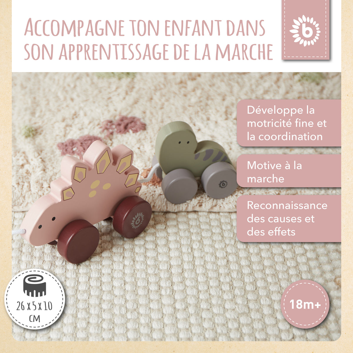 Nachzieh Dinos - FR Infographic