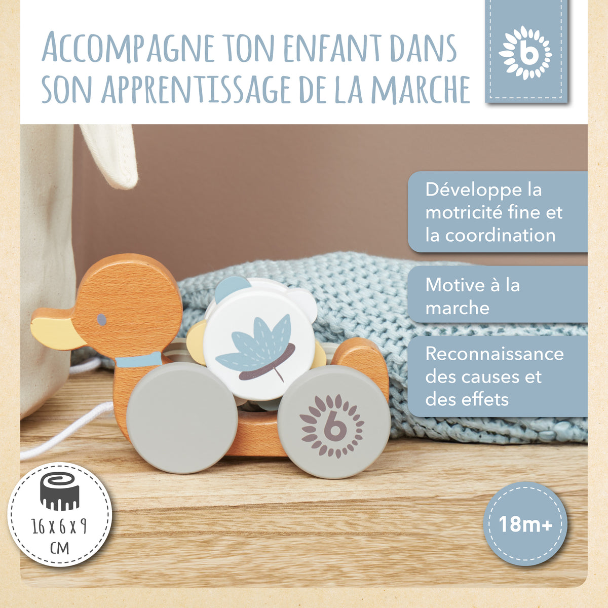 Nachzieh Ente - FR Infographic