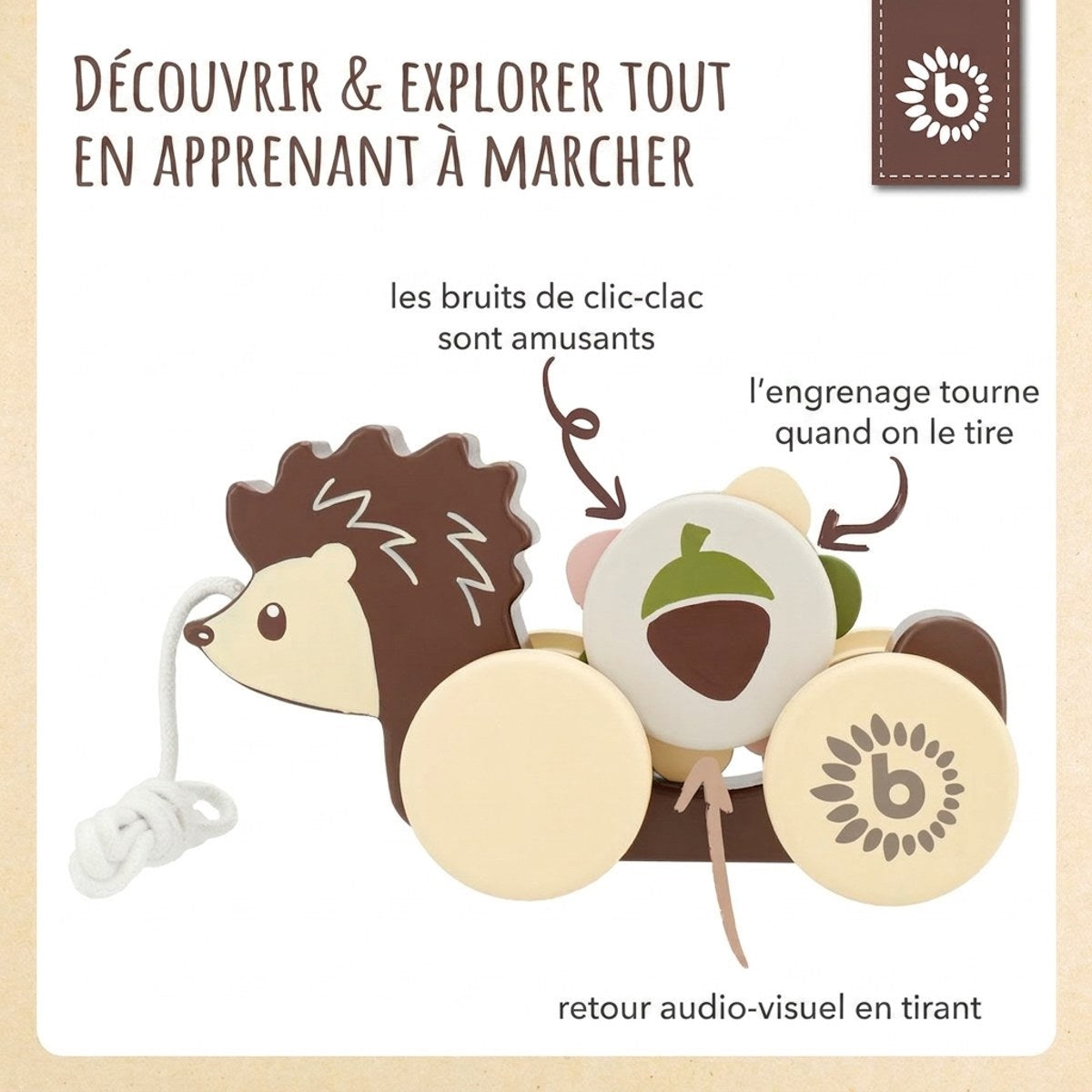 Nachzieh Igel - FR Infographic