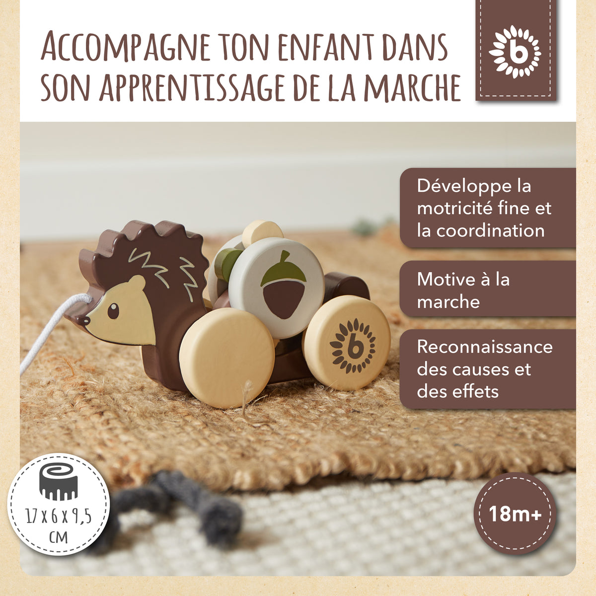 Nachzieh Igel - FR Infographic