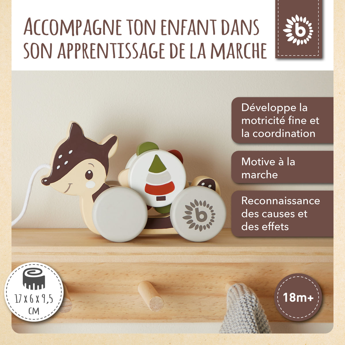 Nachzieh Reh - FR Infographic