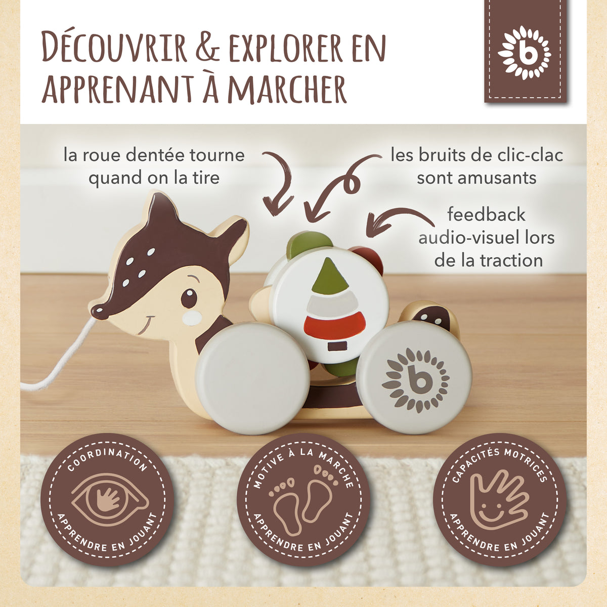 Nachzieh Reh - FR Infographic