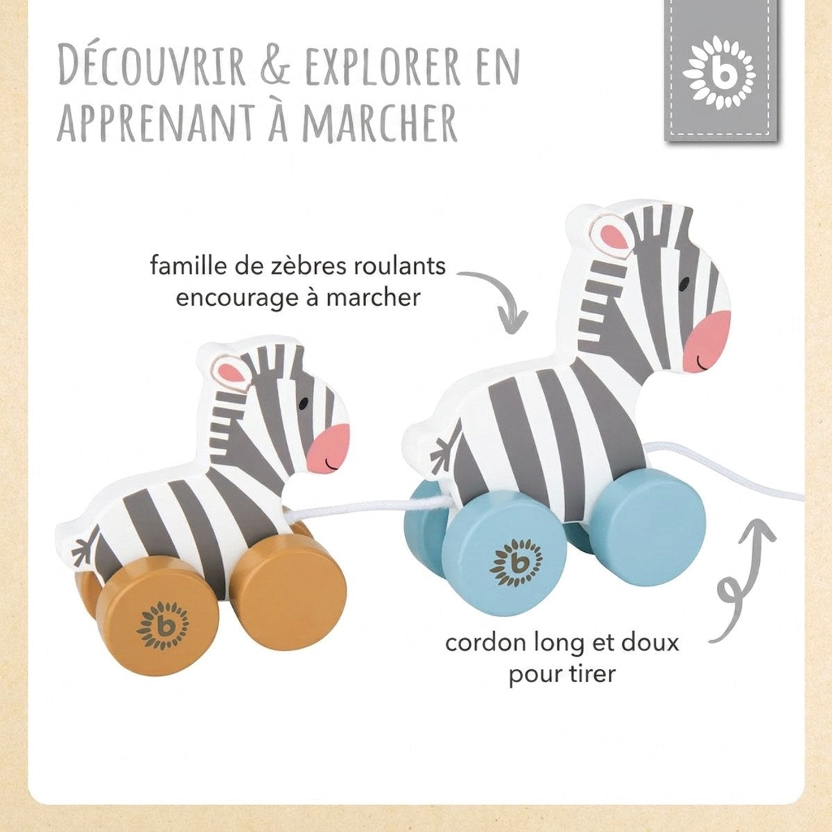 Nachzieh Zebras - FR Infographic