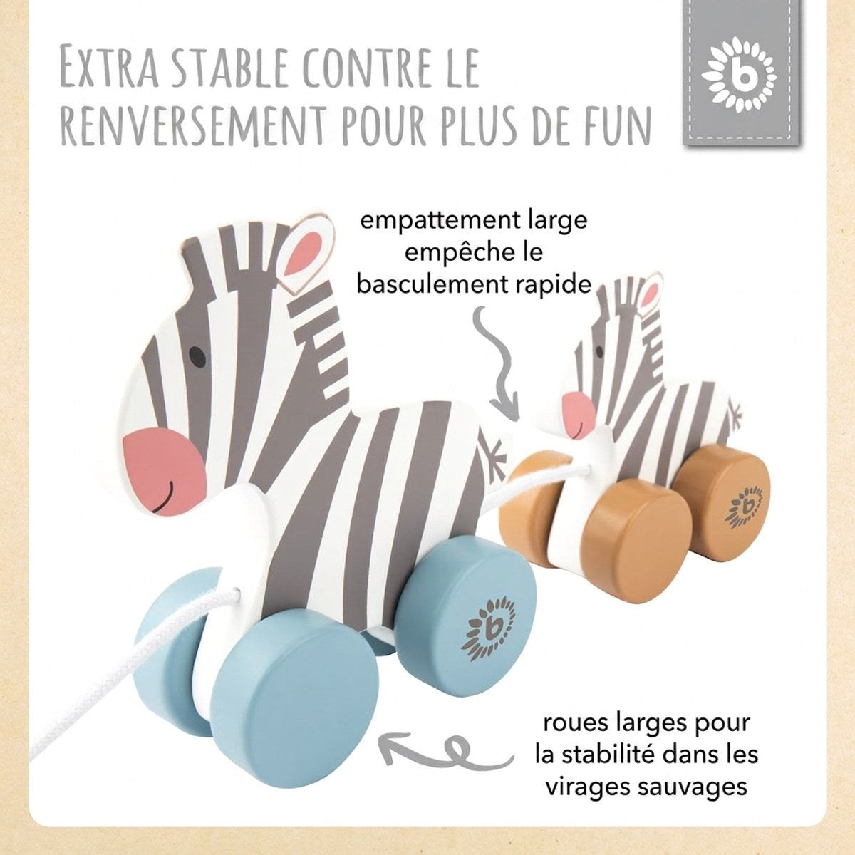 Nachzieh Zebras - FR Infographic