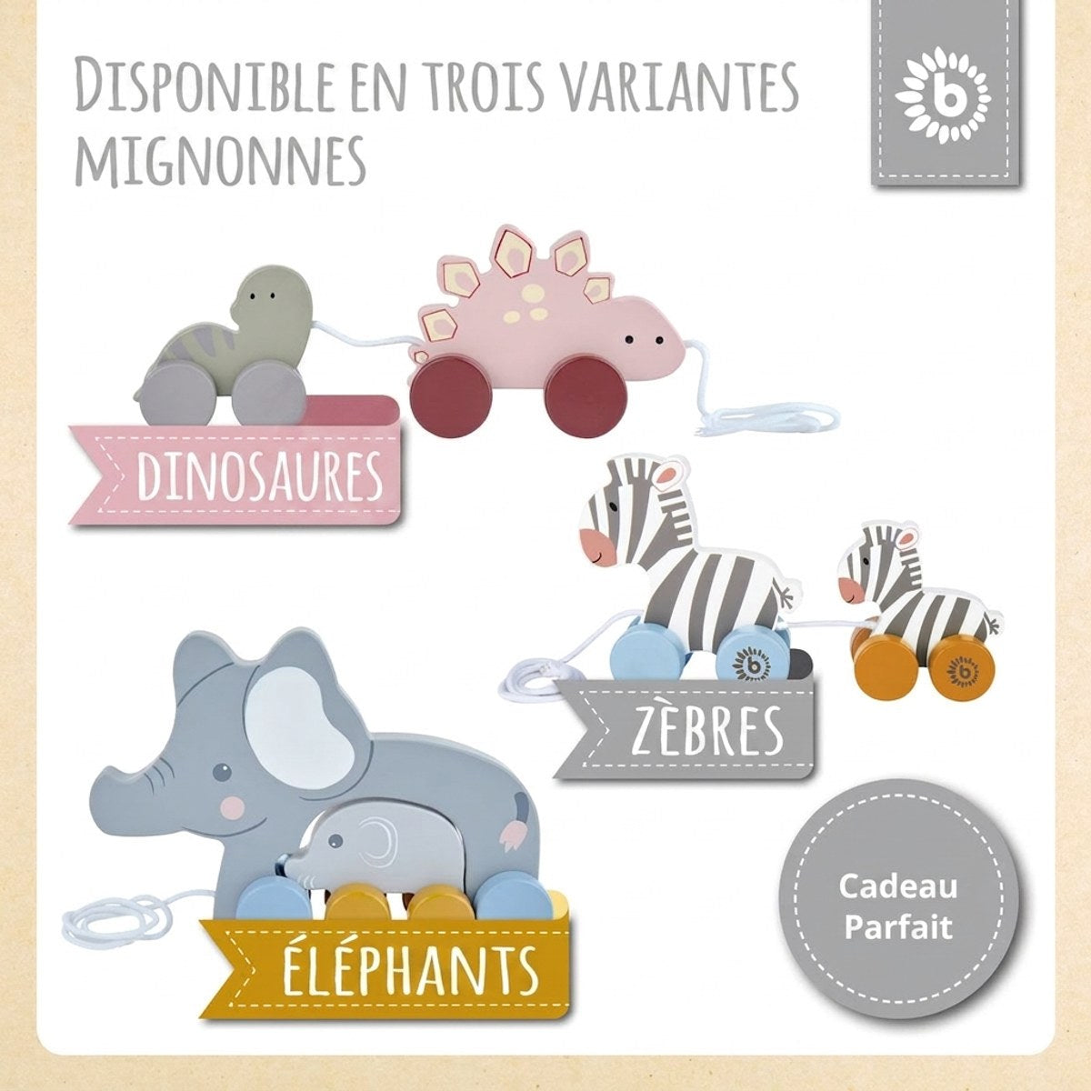 Nachzieh Zebras - FR Infographic