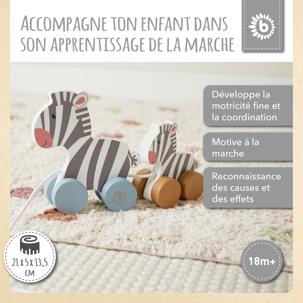 Nachzieh Zebras - FR Infographic