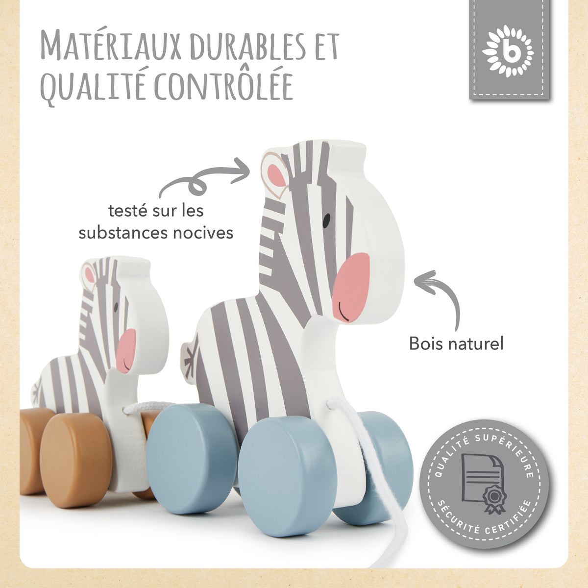 Nachzieh Zebras - FR Infographic