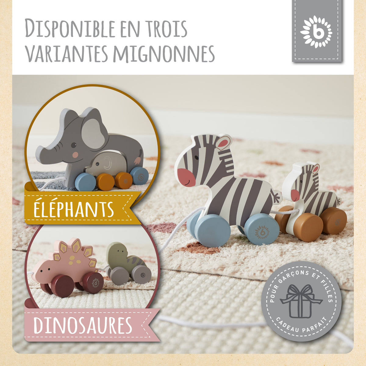 Nachzieh Zebras - FR Infographic