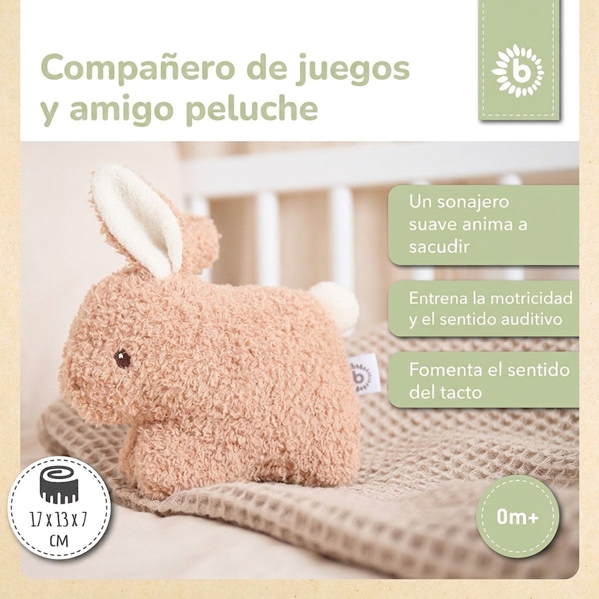 RASSEL HASE FINE - ES Infographic