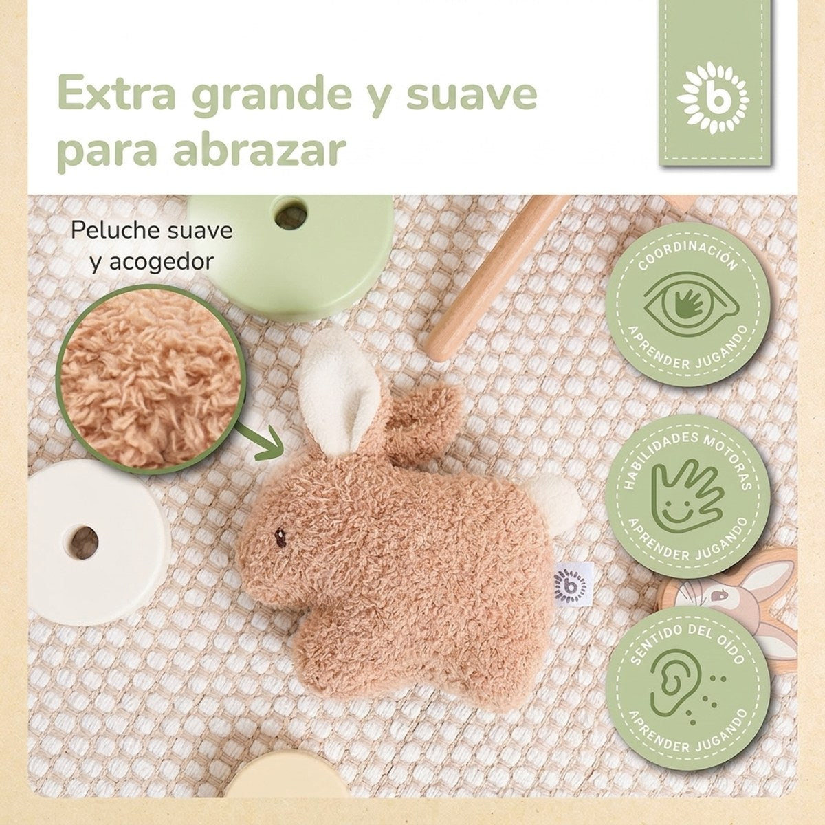 RASSEL HASE FINE - ES Infographic