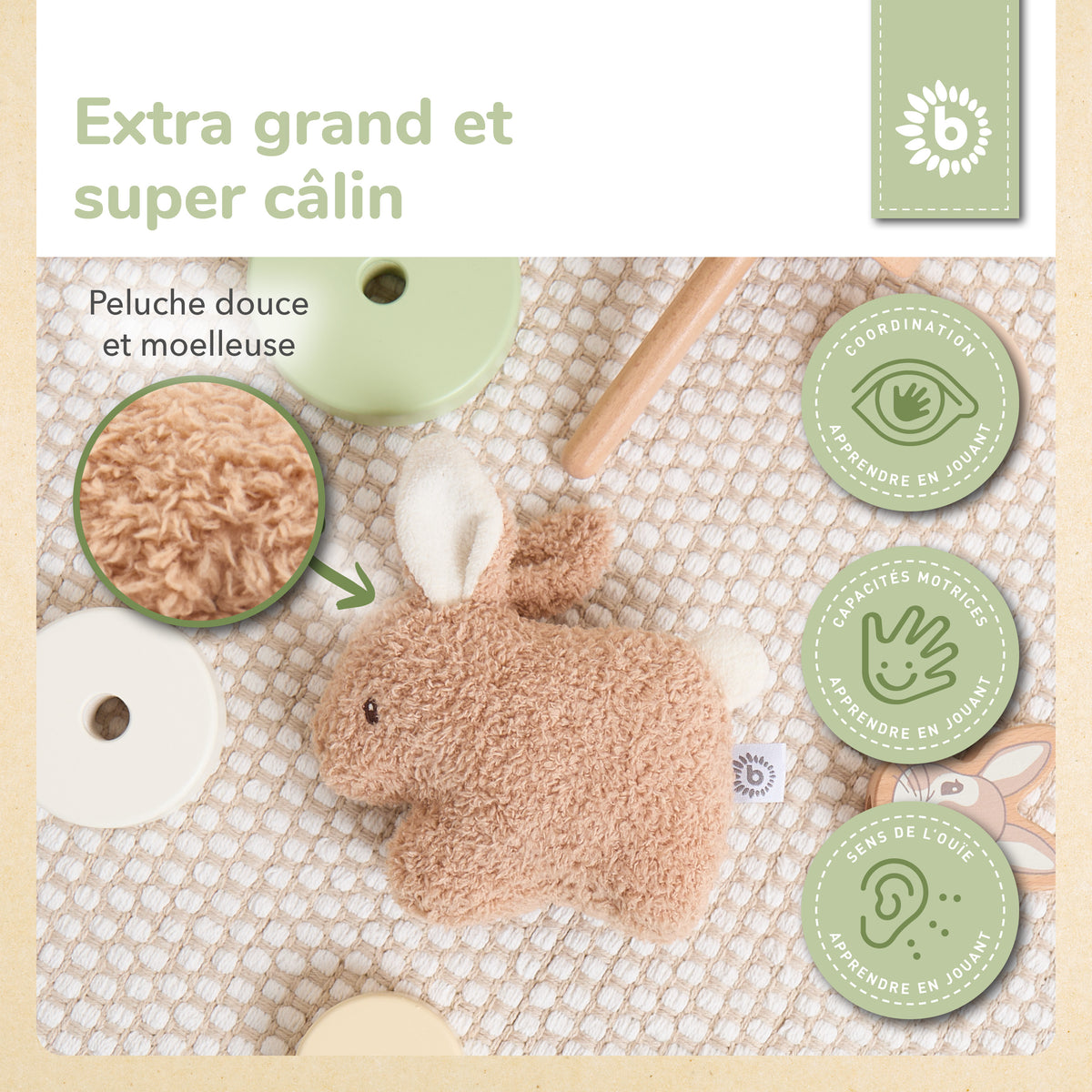 RASSEL HASE FINE - FR Infographic