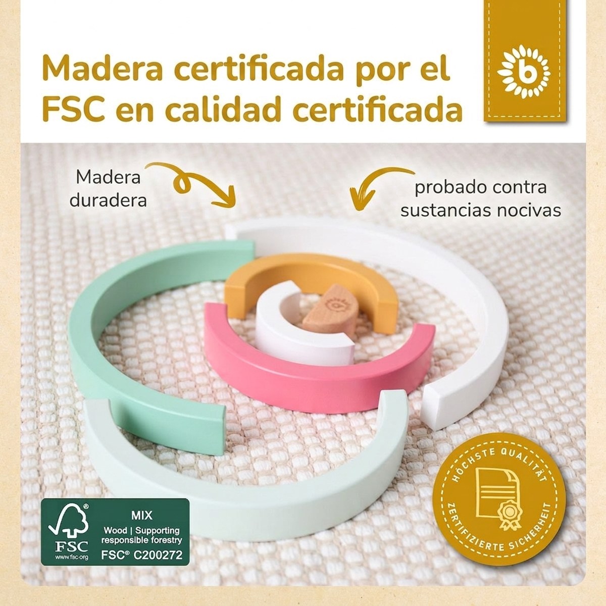 REGENBOGEN BERRY FSC® - ES Infographic