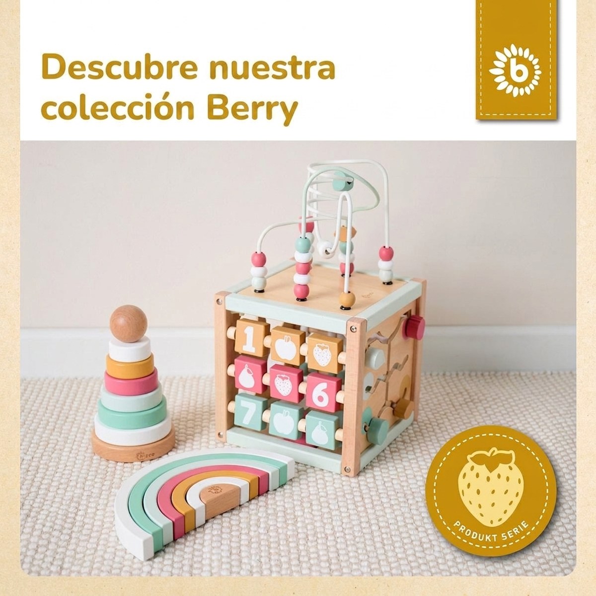 REGENBOGEN BERRY FSC® - ES Infographic