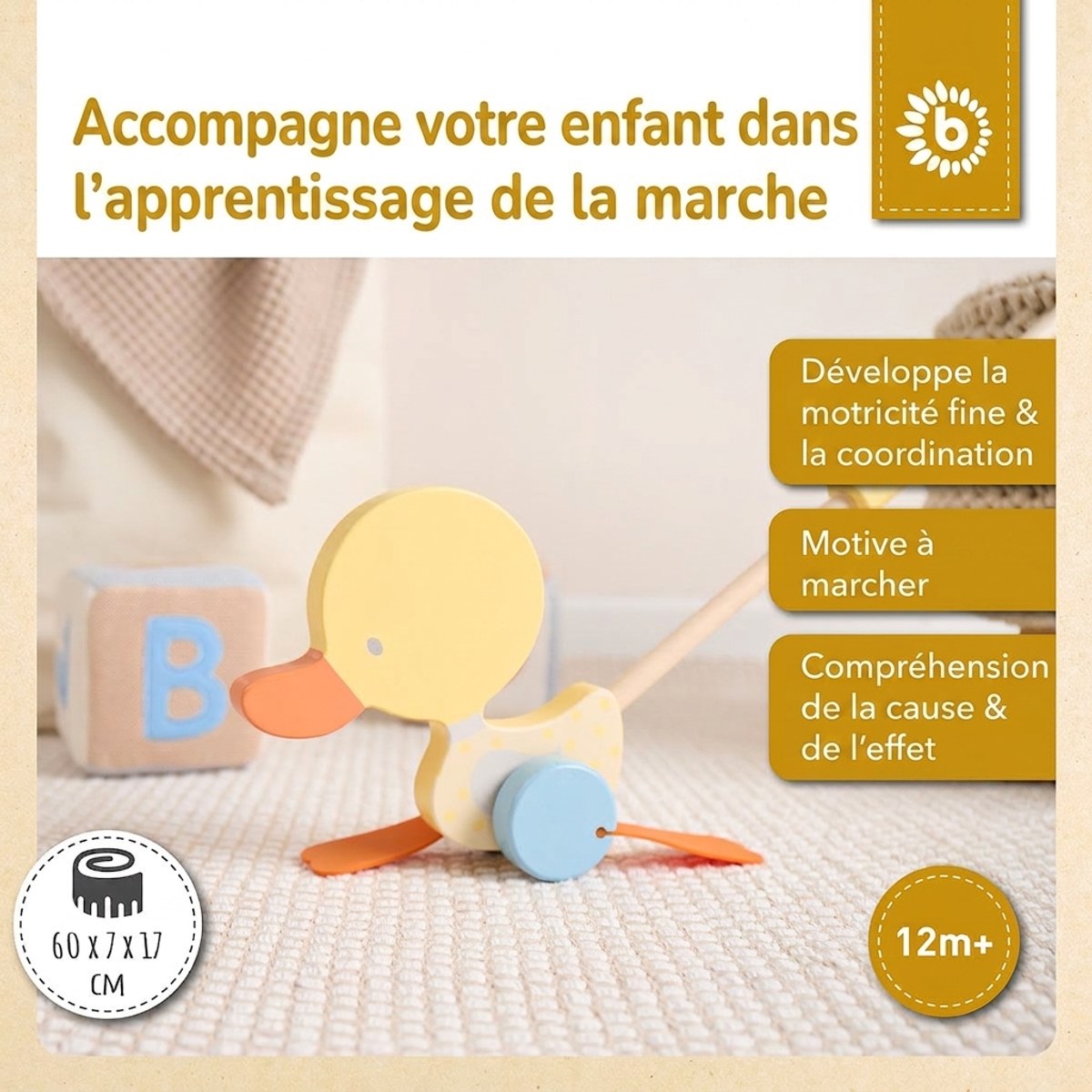 Rollerstab Watschelente gelb - FR Infographic