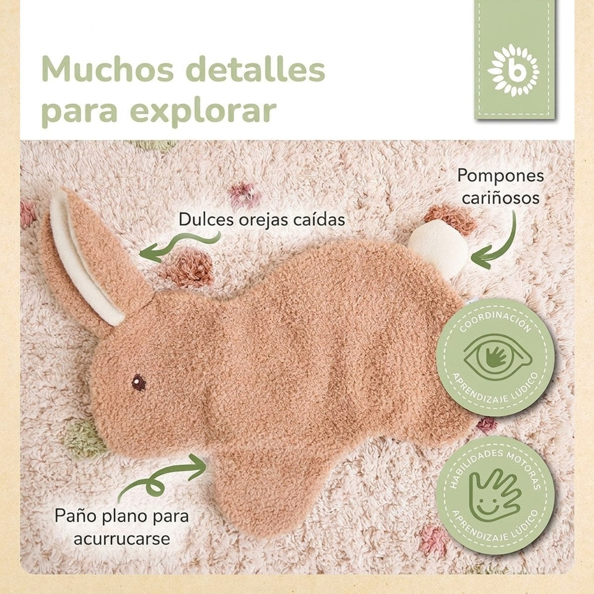 SCHMUSETUCH HASE FINE - ES Infographic