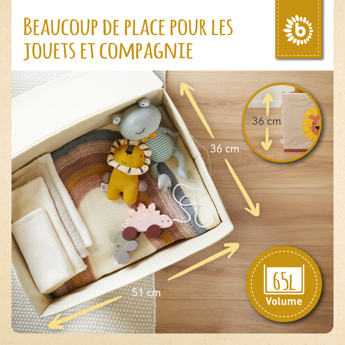 Aufbewahrungsbox Löwe mit Deckel - FR Infographic