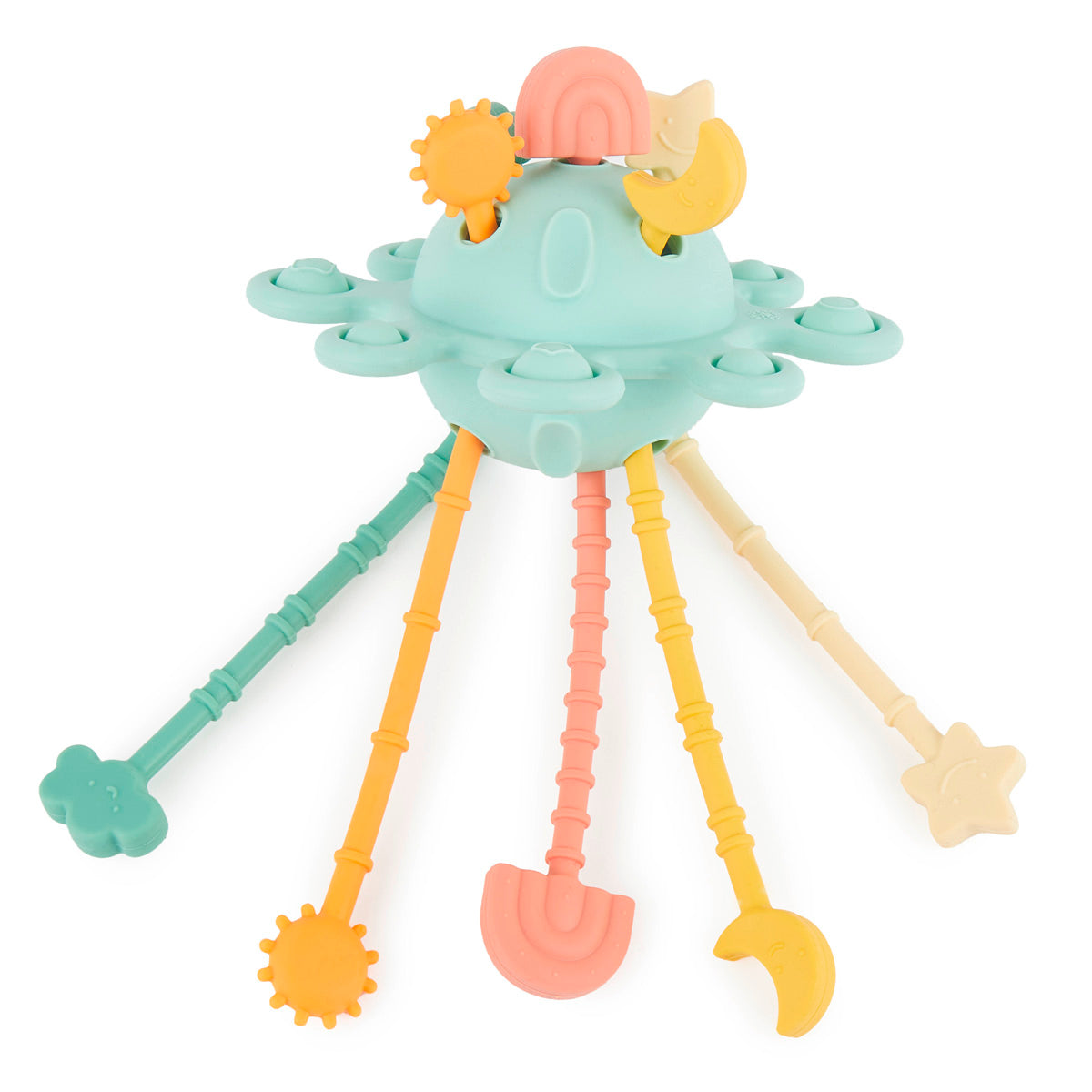 Planète d’activités en silicone eucalyptus