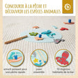 Angelspiel - FR Infographic