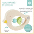 Beißring Vogel light teal - ES Infographic
