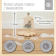 Holzfloß mit Segel - FR Infographic