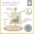 Holzfloß mit Segel - FR Infographic