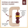 Beißring Ruby - ES Infographic