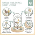 Motorikschleife mit Spiegel reef - ES Infographic