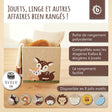 Bundle: 3x Aufbewahrungsboxen 8% Rabatt - FR Infographic