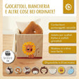 Bundle: 3x Aufbewahrungsboxen 8% Rabatt - IT Infographic