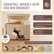 Bundle: 3x Aufbewahrungsboxen mit Deckel 5% Rabatt - IT Infographic