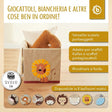 Bundle: 6x Aufbewahrungsboxen 12% Rabatt - IT Infographic