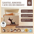 Bundle: 6x Aufbewahrungsboxen mit Deckel 12% Rabatt - IT Infographic