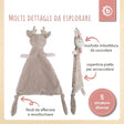 Bundle: Ella Sleep Well - IT Infographic