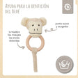 Greifling Affe mit Rassel - ES Infographic
