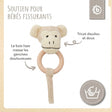 Greifling Affe mit Rassel - FR Infographic