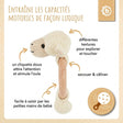 Greifling Schaf mit Rassel - FR Infographic