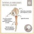 Greifling Waschbär mit Rassel - ES Infographic
