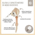 Greifling Waschbär mit Rassel - IT Infographic