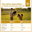 HOBBY HORSE FUCHS - GRÖSSE M - ES Infographic