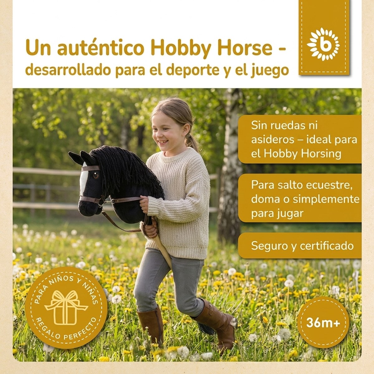 HOBBY HORSE RAPPE - GRÖSSE M - ES Infographic
