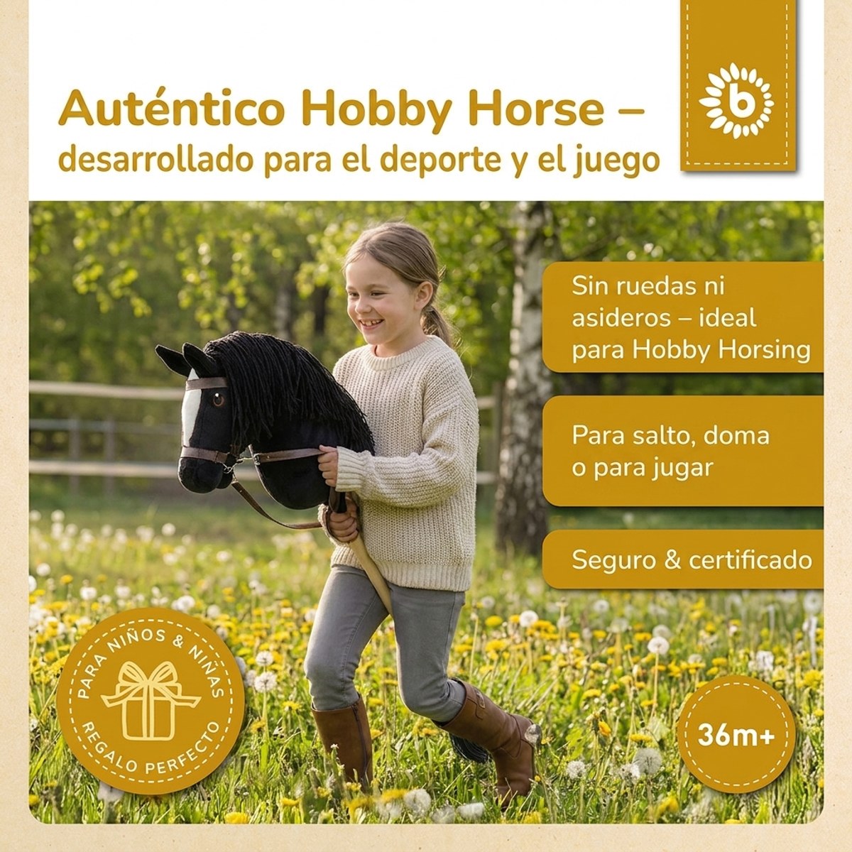 HOBBY HORSE RAPPE - GRÖSSE S - ES Infographic