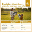 HOBBY HORSE SCHIMMEL - GRÖSSE M - ES Infographic