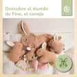 KUSCHELHASE FINE - ES Infographic